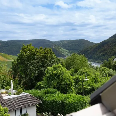 Ferienhaus Moselhoehe -Neu- Verbandsgemeinde Verbandsgemeinde Traben-Trarbach Buitenkant foto