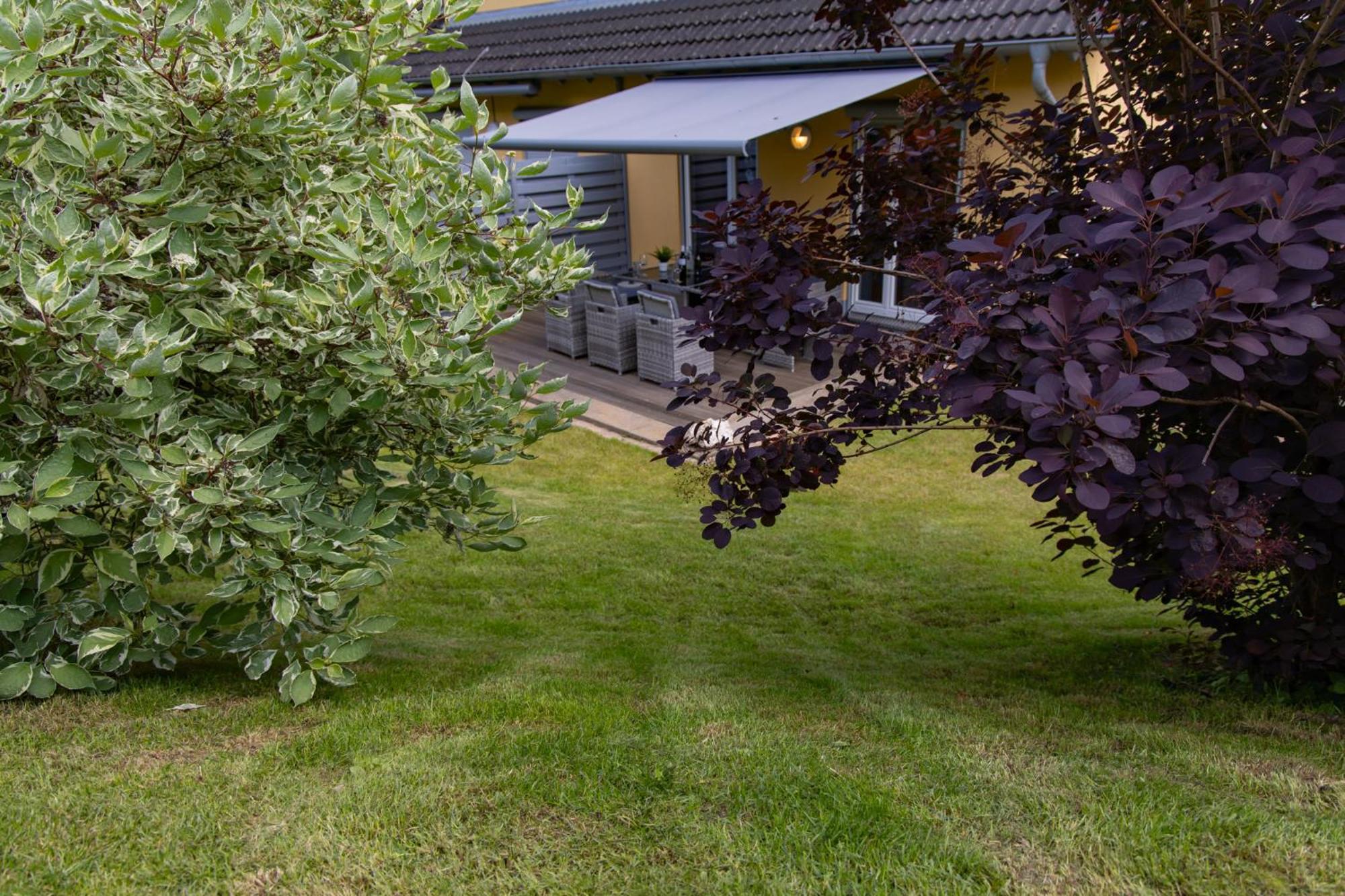 Moselhoehe -neu- Apartment Traben-Trarbach